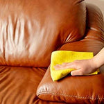 Household Products - ForceField Leather Cleaner And Conditioner