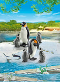 PLAYMOBIL Penguin Family