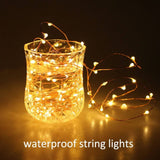 Radiance Dimmable Indoor Outdoor String LED Twinkle Lights Fairy Lights With Wireless Remote, 33ft, Copper Wire, Warm White