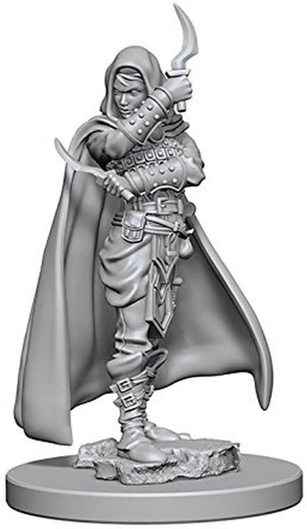 WizKids Pathfinder Deep Cuts Unpainted Miniature: Human Female Rogue